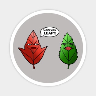 Can you LEAF?! Magnet